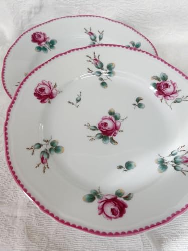 皿 リチャード ジノリ プレート」の人気商品一覧 | 安い商品を通販